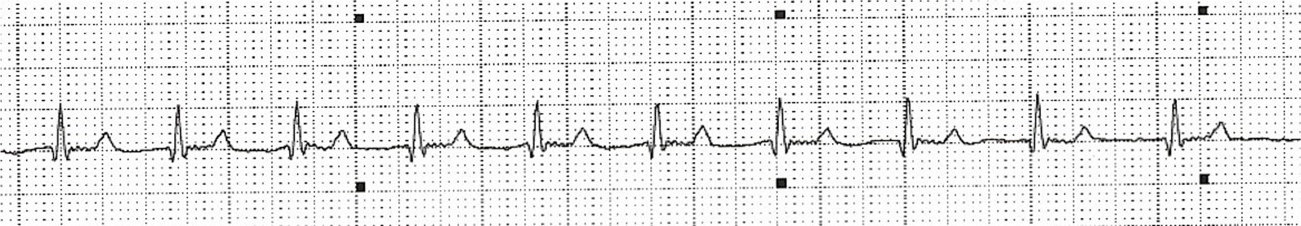 Feline20ECG 4