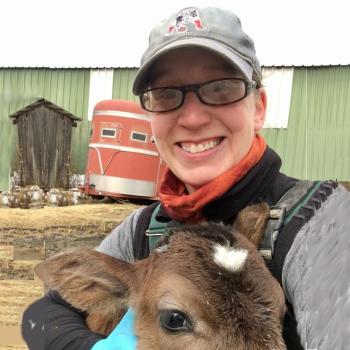 liz broack - farm animal