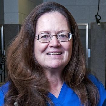 Large Animal Internal Medicine, Anesthesia
