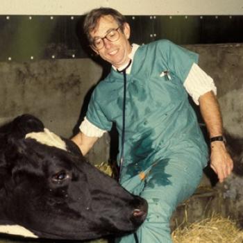 Large Animal Internal Medicine: Ruminants, Pigs