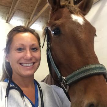 Large Animal Internal Medicine
