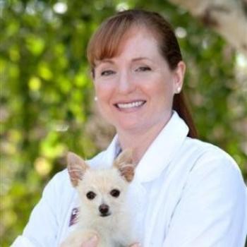 Canine, Feline, Exotics Medicine