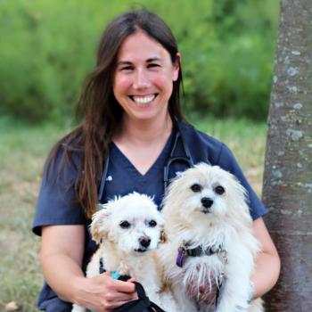 catherine reiss - small animal editor