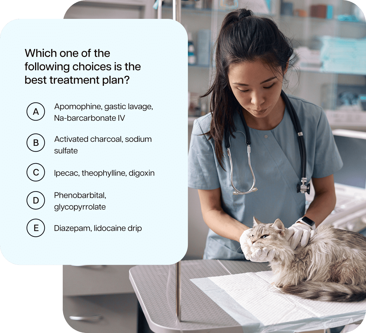 Veterinarian with cat