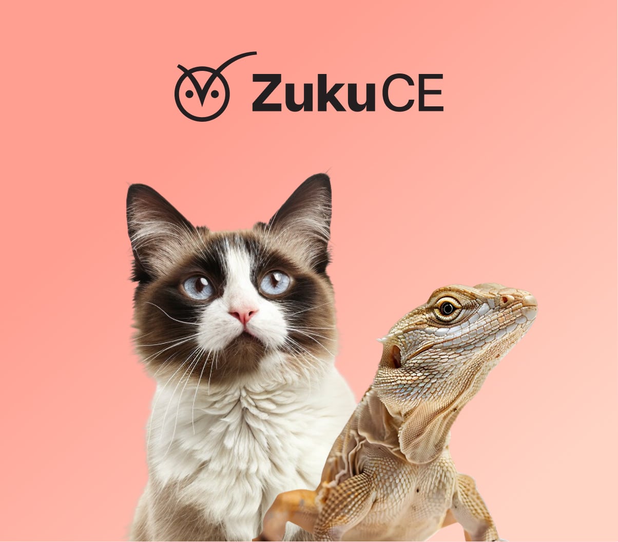 Zuku CE