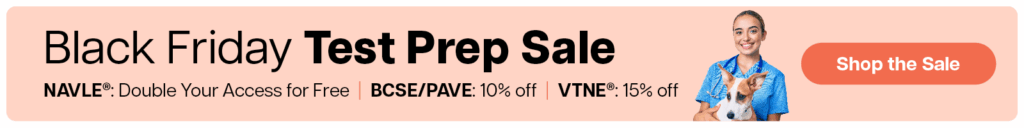 Zuku Black Friday Promo