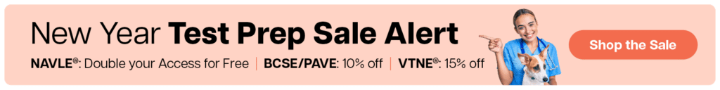 13013 Zuku New Year Sale Banner General