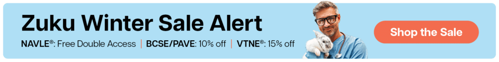 Zuku Winter Sale Banner