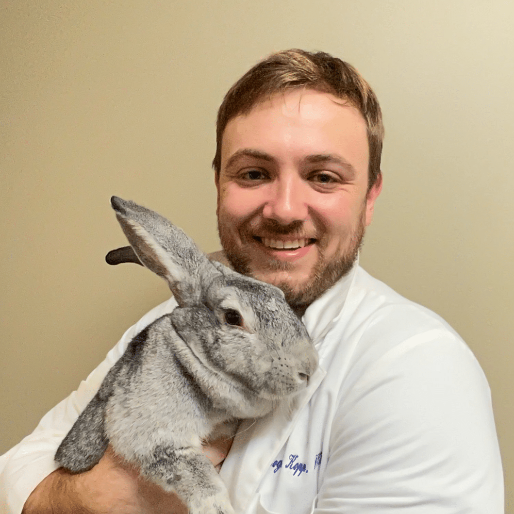 f3fe563a 80f5 4e40 a0cc b7bd576b585c