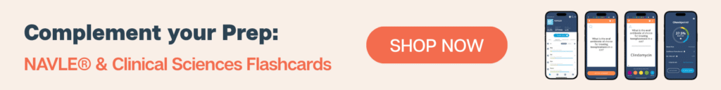 Flashcards Banner (3)