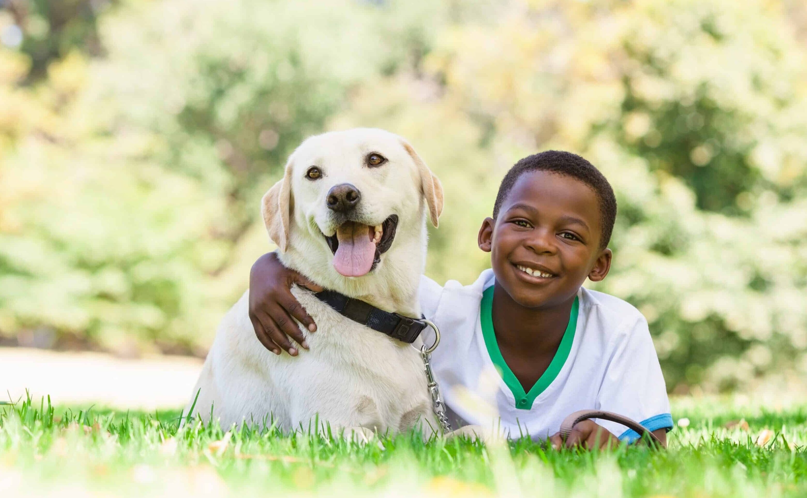 dog with boy